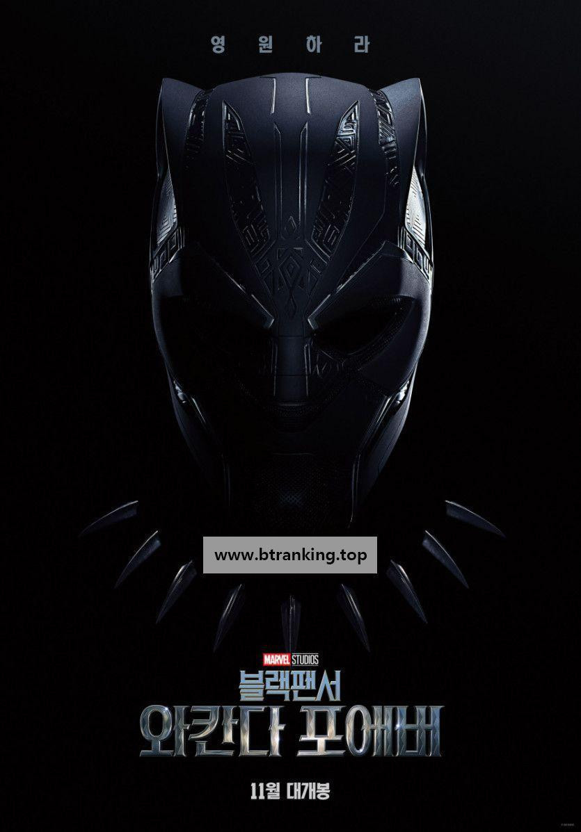 블랙 팬서: 와칸다 포에버 Black Panther Wakanda Forever 2022 1080p BluRay DDP5 1 x265 10bit-GalaxyRG265